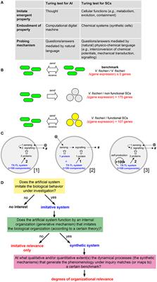 On the “Life-Likeness” of Synthetic Cells